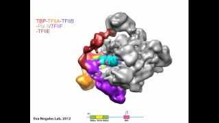 cryoelectron microscopy [upl. by Valente]