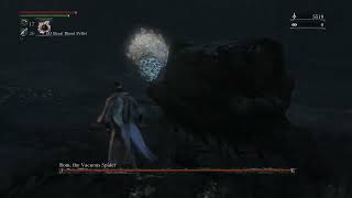 Bloodborne Rom the Vacuous Spider 2 No Damage Taken [upl. by Dranoel85]