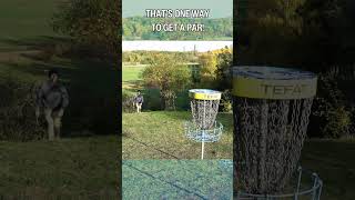 BALL DISC GOLF 😱 discgolf frisbeegolf cheating dga dgablowfly blowfly [upl. by Olumor]