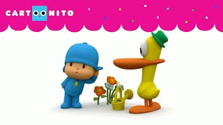 NUEVO AMIGO  POCOYO  CARTOONITO [upl. by Aicirtel]