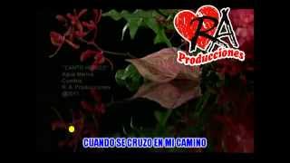 Canto Herido  Agua Marina  KARAOKE [upl. by Sulokcin]