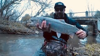 STEELHEAD OPENER Ganaraska is a nut house so we are forced to fish the feeder creeks [upl. by Zebulon]