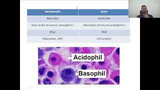 general histology revision  microtechniques and the cell [upl. by Aleahpar794]