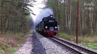 Eisenbahn 2012 25 Dampfloks  Steam Trains  Züge [upl. by Ivar667]