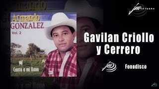 Gavilan Criollo y Cerrero  Armando Gonzalez  FD [upl. by Ahsirak982]