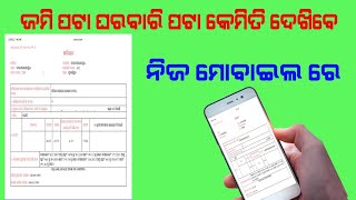 Bhulekh Odisha  How to Check Land Records Online  kamiti dakhiba jami pata  pkonline9861 [upl. by Drooff]