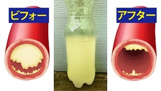 心臓病予防に効果のある食品１５ [upl. by Derrick]