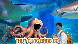 Đi Thăm Thuỷ Cung Siêu To Khổng Lồ Nhất Đông Nam Á [upl. by Ardiedak]