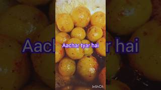 Amla ka Achar recipe healthyeating amla amlakaachar amlakefayde weightloss winterspecialsardi [upl. by Oisor]