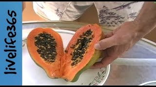 How toEat a Papaya [upl. by Lekar]