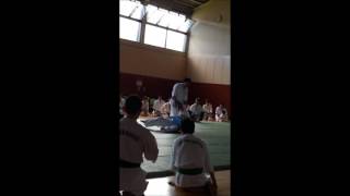 Enshin Karate  Sabaki Method [upl. by Val]