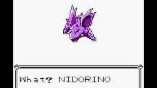 Nidorino Evolving in Pokemon Yellow [upl. by Man876]