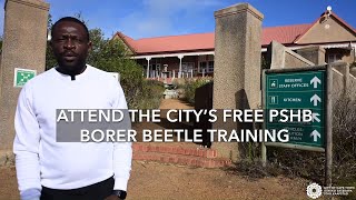 Attend the City’s free borer beetle training in Alphen [upl. by Lam]