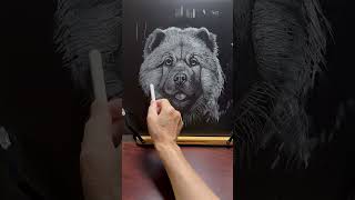 Chalkboard Drawing Challenge—Here’s What Happened 我嘗試了粉筆挑戰——結果⋯chalkboard blackboard [upl. by Gregg]