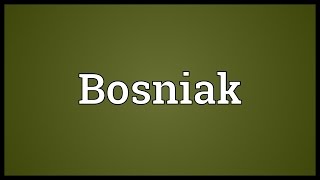 Bosniak Meaning [upl. by Fredella815]