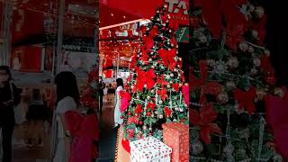 Christmas in the cornerChristmas is comingshort viral vedio [upl. by Kos]