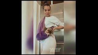 Hailee steinfeld with her dog 119 [upl. by Divine405]