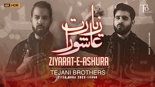 New Nohay 2023  Ziyarat e Ashura  Tejani Brothers  Title Noha 2023  Muharram Nohay 20231445 [upl. by Ricky]