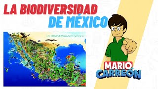 La Biodiversidad de México [upl. by Eocsor]