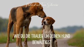 Podcast 142 Wie du die Trauer um deinen Hund bewältigen kannst [upl. by Ardnasirk]