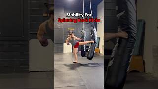 Mobility Exercises For Stronger Spinning Back Kicks mma kickboxing karate taekwondo [upl. by Altheta]