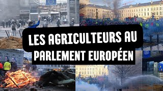 Les agriculteurs au Parlement européen  Manifestation Agricole [upl. by Onilatac]