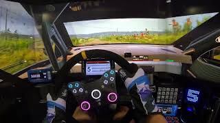 This Is Brutal EA Sports WRC  POV Gameplay Rally Finland [upl. by Davina81]