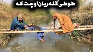 Tuti Gula Reyan Ochat Ka Pashto New Funny Video 2024 by Tuti Gull Vines [upl. by Drofla984]