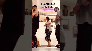 FLAMENCO por bulerías 🔥❤️ escobilla dance flamenco dancer dancevideo shorts youtube training [upl. by Miun]