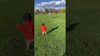 Alonzo loves walking with grandpa at the park❤️❤️❤️firstgrandson trending canadianbaby Shorts [upl. by Eggleston]