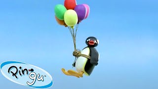 Taking Flight 🐧  Pingu  Official Channel  Cartoons For Kids [upl. by Notnef399]