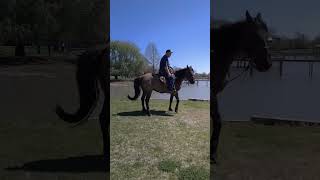 trailride by the lake horseriding cowboy veteran horsemanship goodday whyiride texas [upl. by Yrocaj]