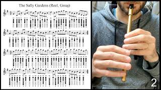 Tuto Tin Whistle  The Sally Gardens Reel Gmaj [upl. by Sethi]