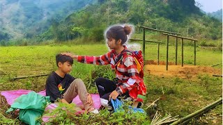 Lý An Ca  Orphaned girl builds bamboo house harvests wild vegetables and bamboo shoots to sell [upl. by Lonier468]