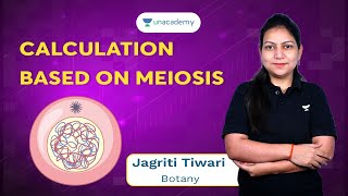 Understanding Meiosis A StepbyStep Guide to Genetic Diversity [upl. by Osnerol]