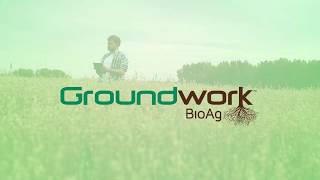 Groundwork BioAg  Rootella mycorrhizal inoculants English captions [upl. by Yelknirb]