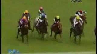 2007 安田記念 YASUDA KINEN [upl. by Attenwahs]