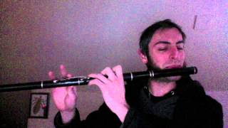 Cooleys Reel  Irish Flute  slowfast [upl. by Gherlein169]