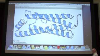 Aherns Biochemistry 4  Protein Structure I [upl. by Inilahs]