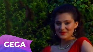 Ceca  Mokra trava  Official Video 1991 [upl. by Kaylil946]