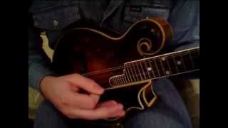 Mandolin Brothers J T Lawrence  Cattle Under the Cain on the Gibson Lloyd Loar F5 [upl. by Nitram]