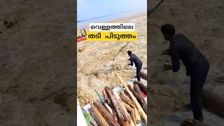 തടി പിടുത്തം log collection Koshi barrage wood blockage malayalam short [upl. by Ynittirb]