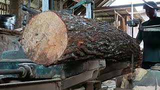 Extraordinary carpenters skill in splitting pine wood 5 [upl. by Yromem]