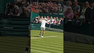 Belgrade Champion Denis Shapovalovs Forehand Up Close atp tennis forehand [upl. by Hoebart990]