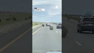 Barrage of Tumbleweeds hits California Interstate [upl. by Savdeep]