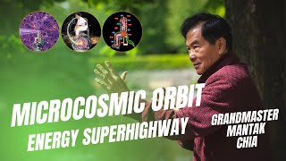 What is the microcosmic orbit Bodys energy superhighway explained by Grandmaster Mantak Chia [upl. by Attenohs52]