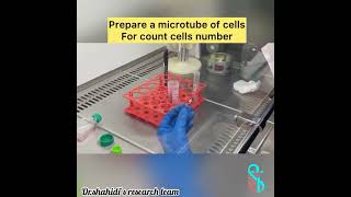 Passaging Cells A Stepbystep guide [upl. by Ahsenrad]