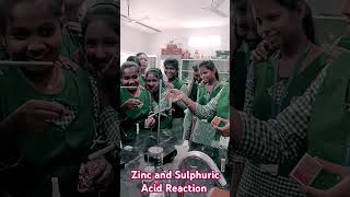 Zinc and Sulphuric acid Reaction  My Class  Laboratory Experiments [upl. by Rhynd]