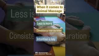 Three Facts About Animal Massage [upl. by Ezekiel]