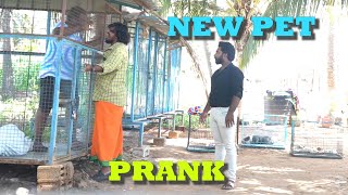 NEW PET Prank  Prankster Rahul Azar  224 [upl. by Thorpe695]